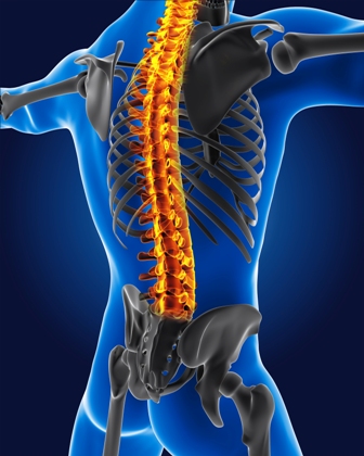  Spine surgery in Ahmedabad